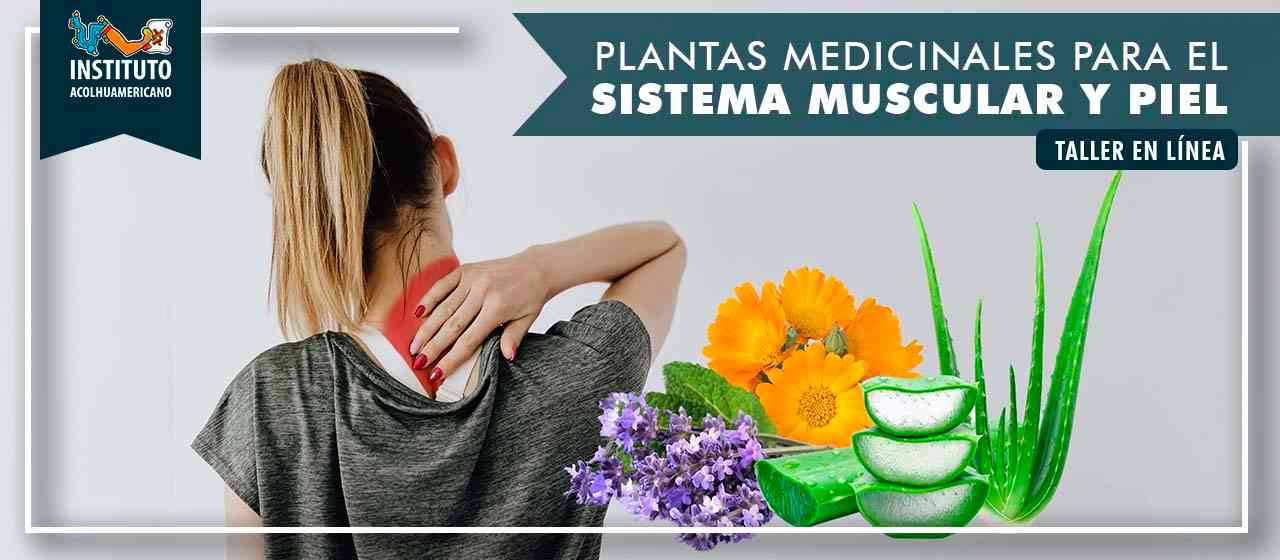 banner del curso: plantas medicinales para el sistema muscular y piel