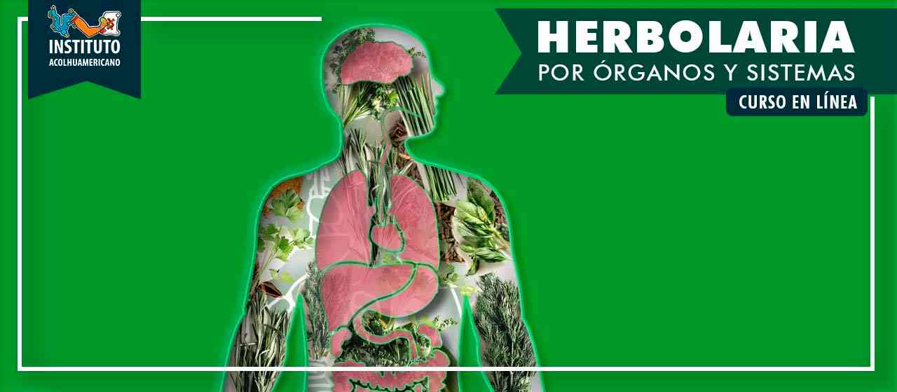 banner del curso: herbolaria para órganos y sistemas