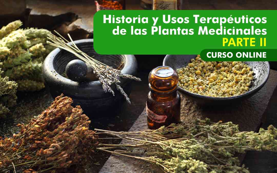 banner del curso HISTORIA Y USOS TERAPÉUTICOS DE LAS PLANTAS MEDICINALES (PARTE II)