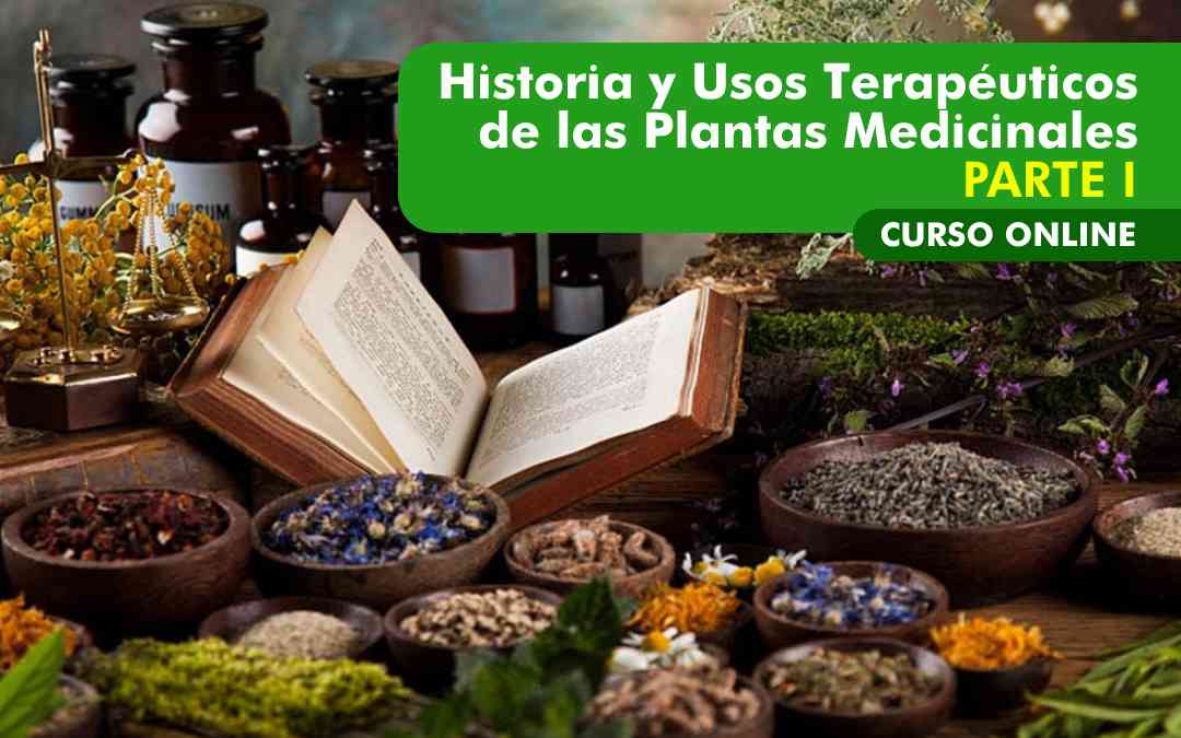 banner del curso HISTORIA Y USOS TERAPÉUTICOS DE LAS PLANTAS MEDICINALES (PARTE I)