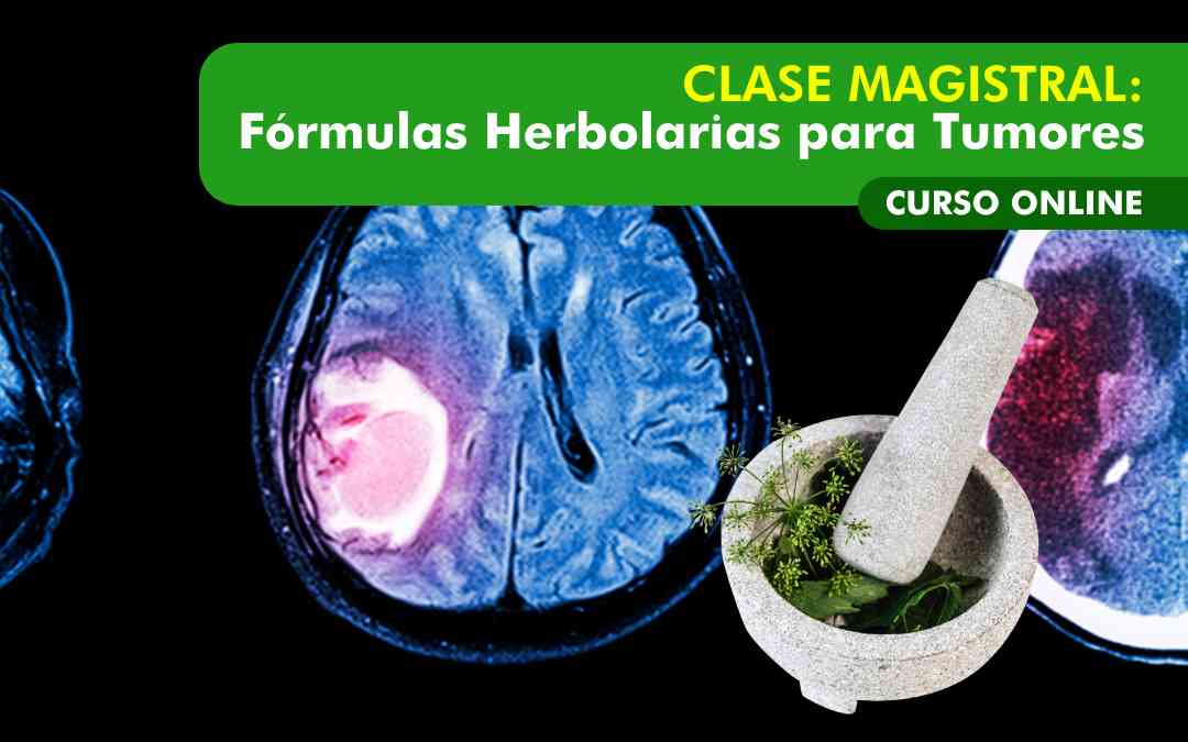 banner del curso: clase magistral: fórmulas herbolarias para tumores