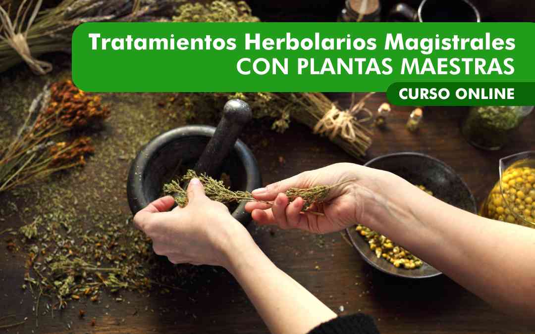 banner del curso: tratamientos herbolarios magistrales con plantas maestras
