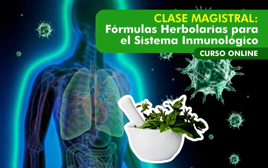 banner del curso: clase magistral:fórmulas herbolarias para el sistema inmunológico