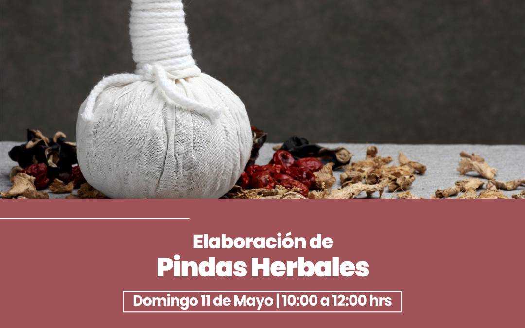 banner del curso: elaboración de pindas herbales