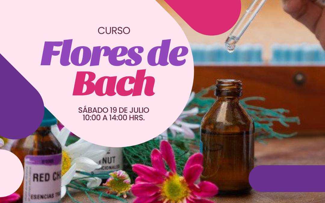 banner del curso: terapia con flores de bach