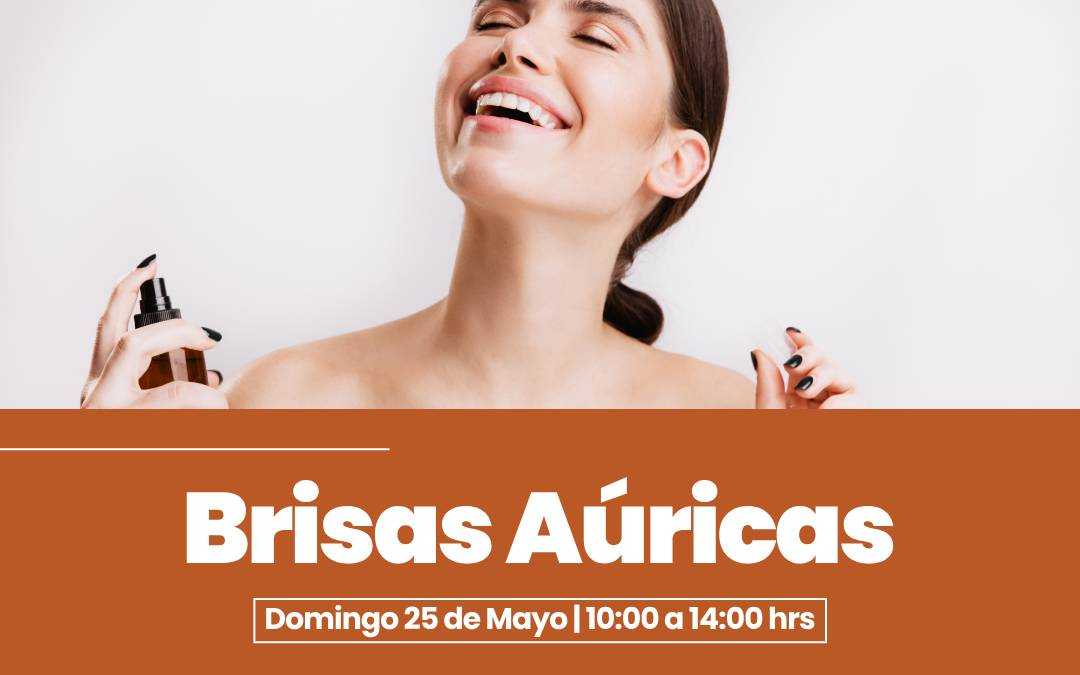 banner del curso: brisas áuricas 