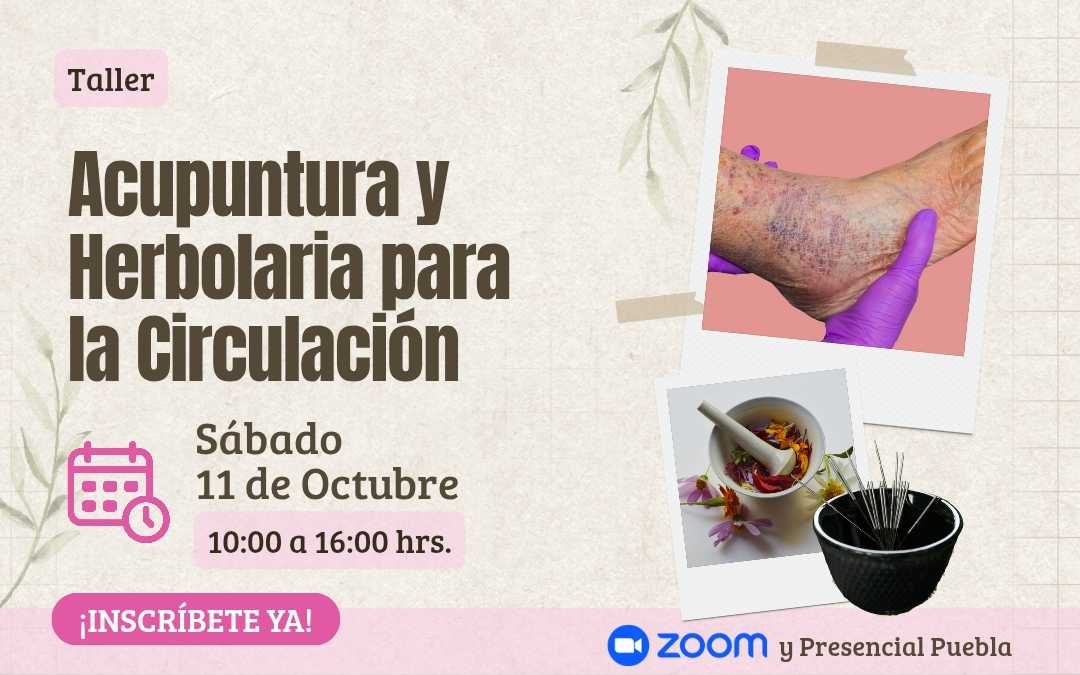 banner del curso: acupuntura y herbolaria para la circulación