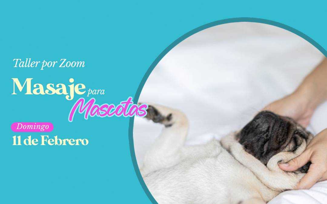 banner del curso: masaje para mascotas