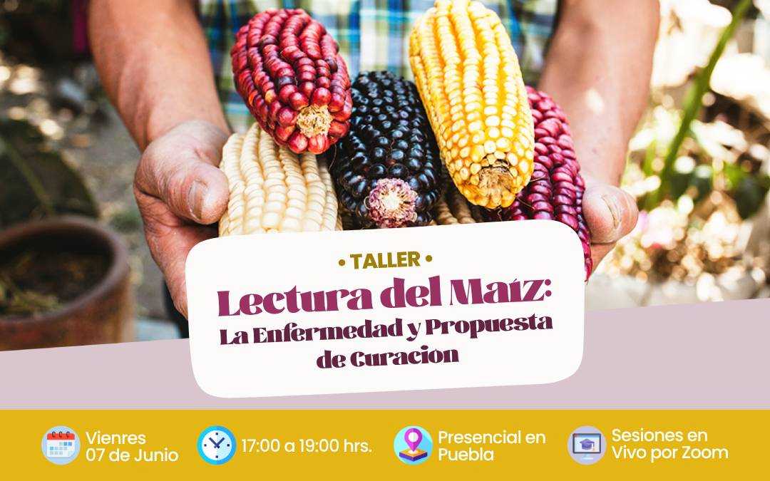 banner del curso: lectura de maíz : la enfermedad y propuesta de curacion