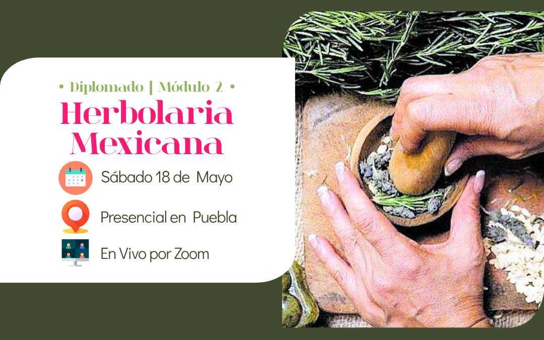 banner del curso Herbolaria Mexicana