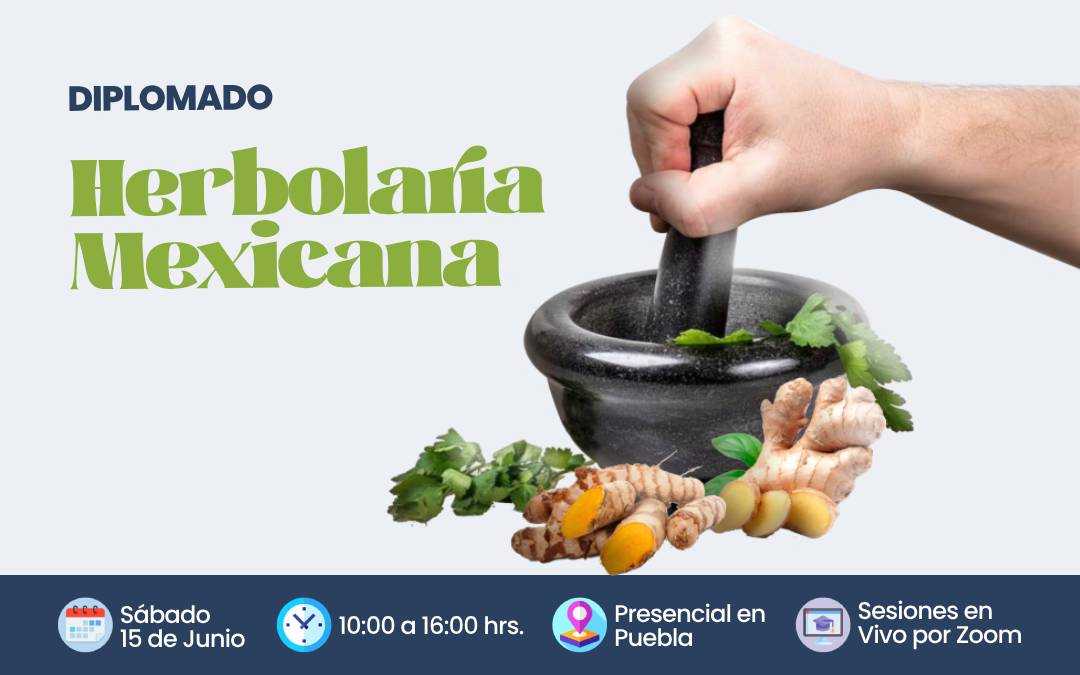 banner del curso: herbolaria mexicana