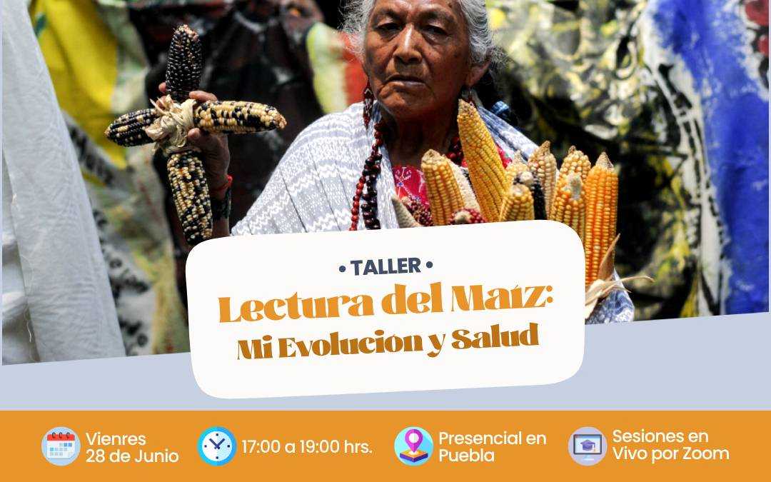 banner del curso: lectura de maíz: mi evolución y salud