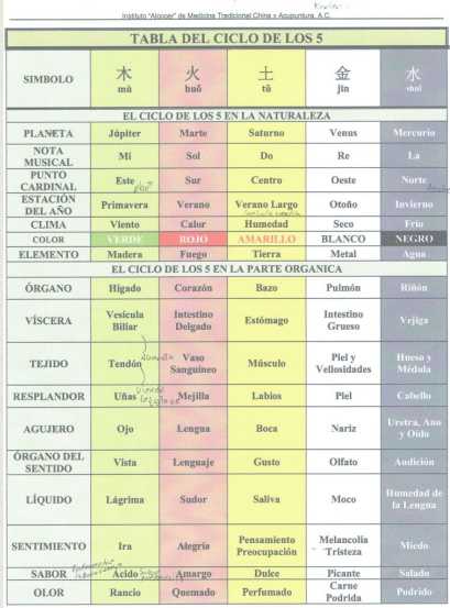 banner del curso: aumento de masa muscular y reduccion de tallas con herbolaria y acupuntura