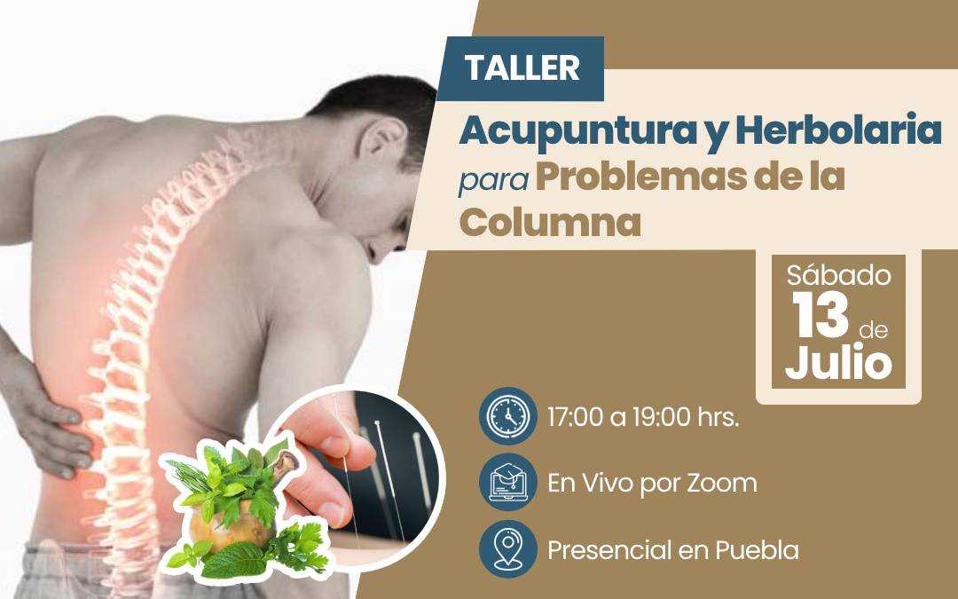 banner del curso: acupuntura y herbolaria para  problemas de columna