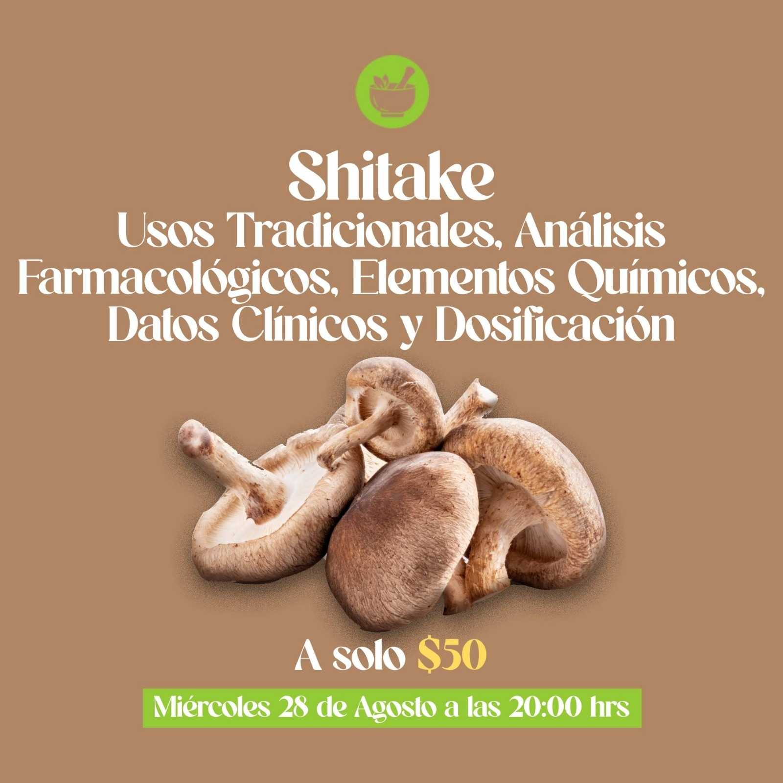 banner del curso: shitake usos terapeuticos