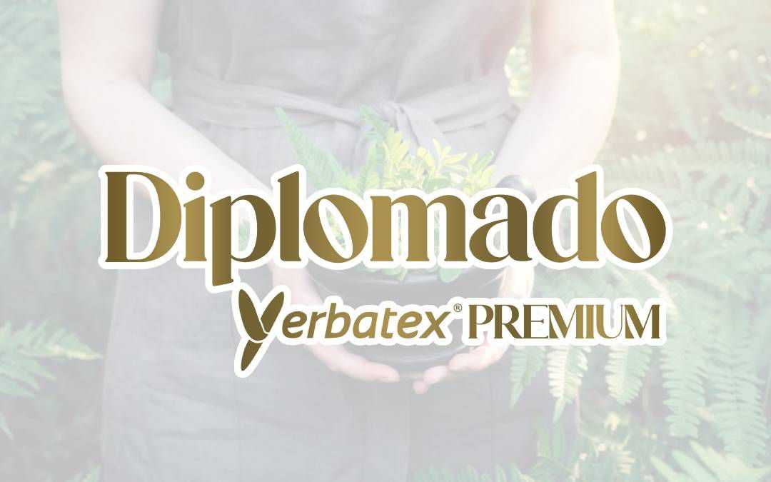 banner del curso: diplomado yerbatex premium