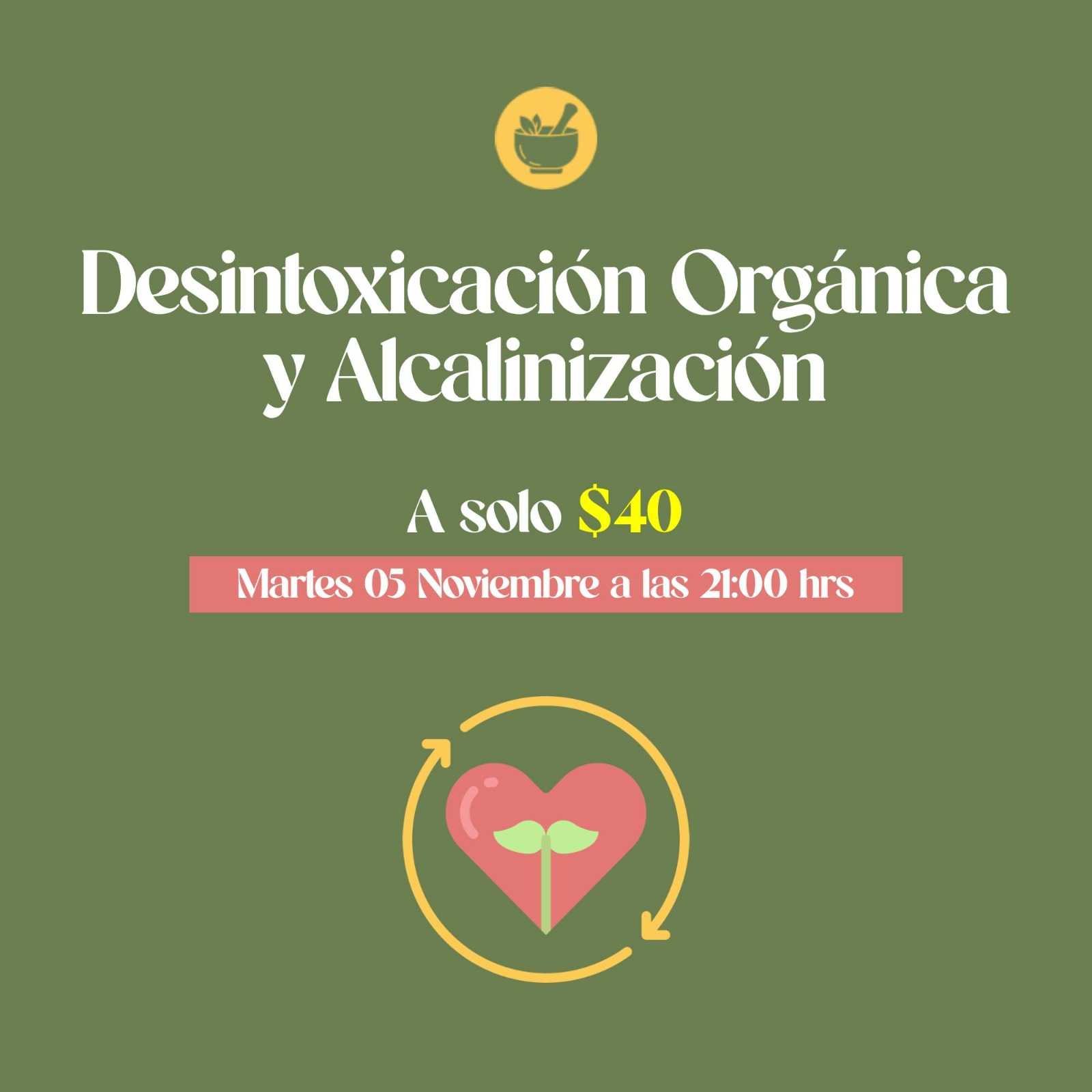 banner del curso: desintoxicación orgánica y alcalinización