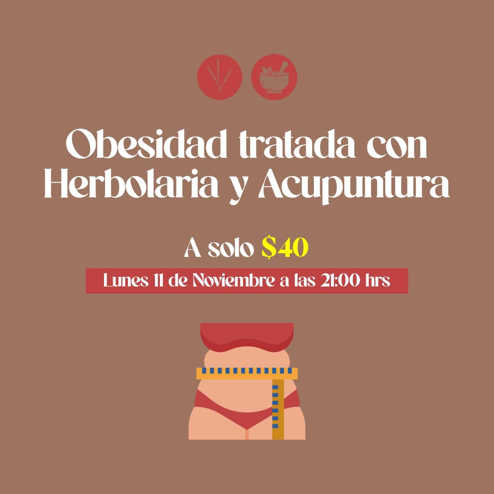 banner del curso: obesidad tratado con herbolaria y acupuntura