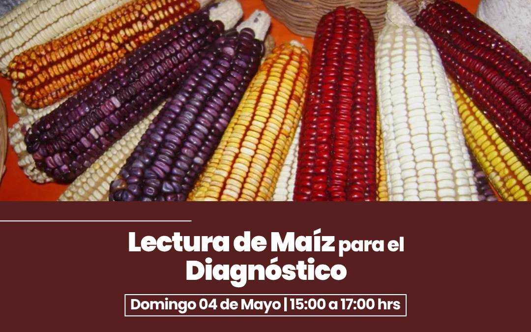 banner del curso: lectura de maíz para diagnóstico