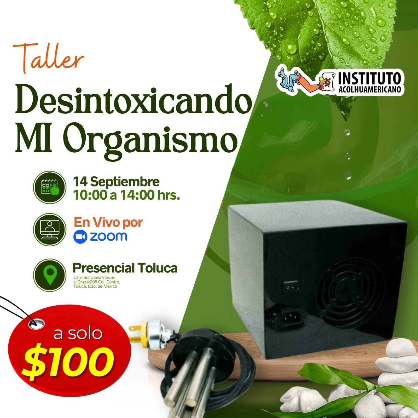 banner del curso: desintoxicando mi organismo