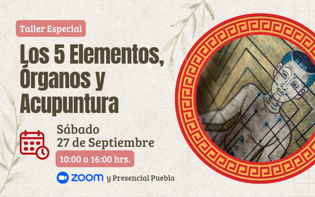 banner del curso: los 5 elementos. örganos y acupuntura