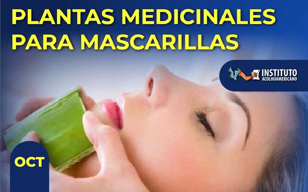 banner del curso: plantas medicinales para mascarillas