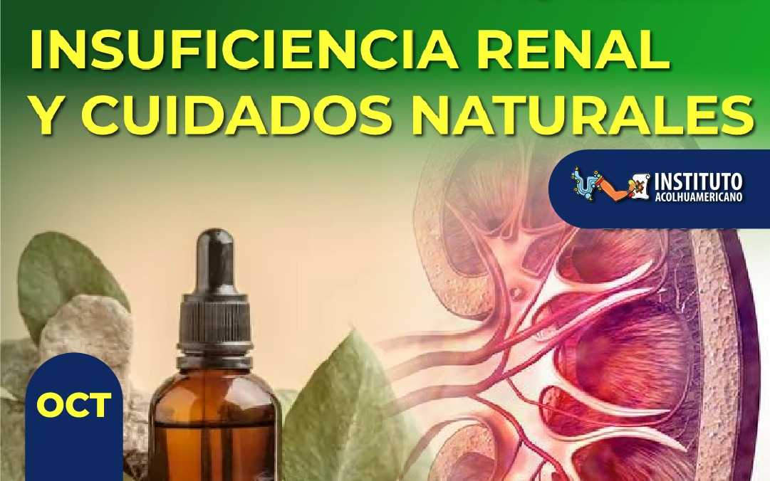 banner del curso: insuficiencia renal y cuidados naturales