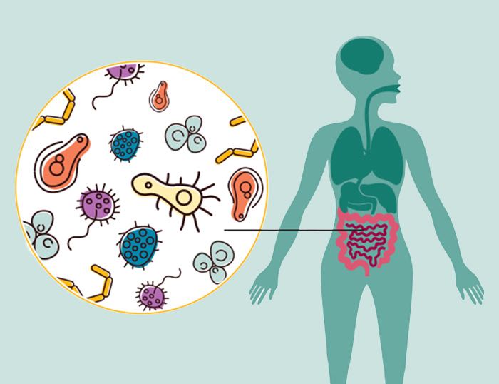 banner del curso: microbiota congreso 2025