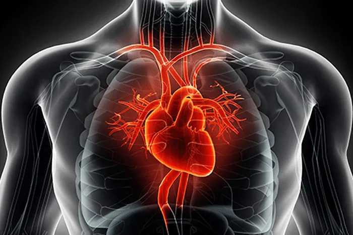 banner del curso: puntos para enfermedades cardiacas