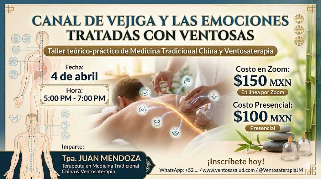 banner del curso: canal de vejiga y las emociones tratadas con ventosas