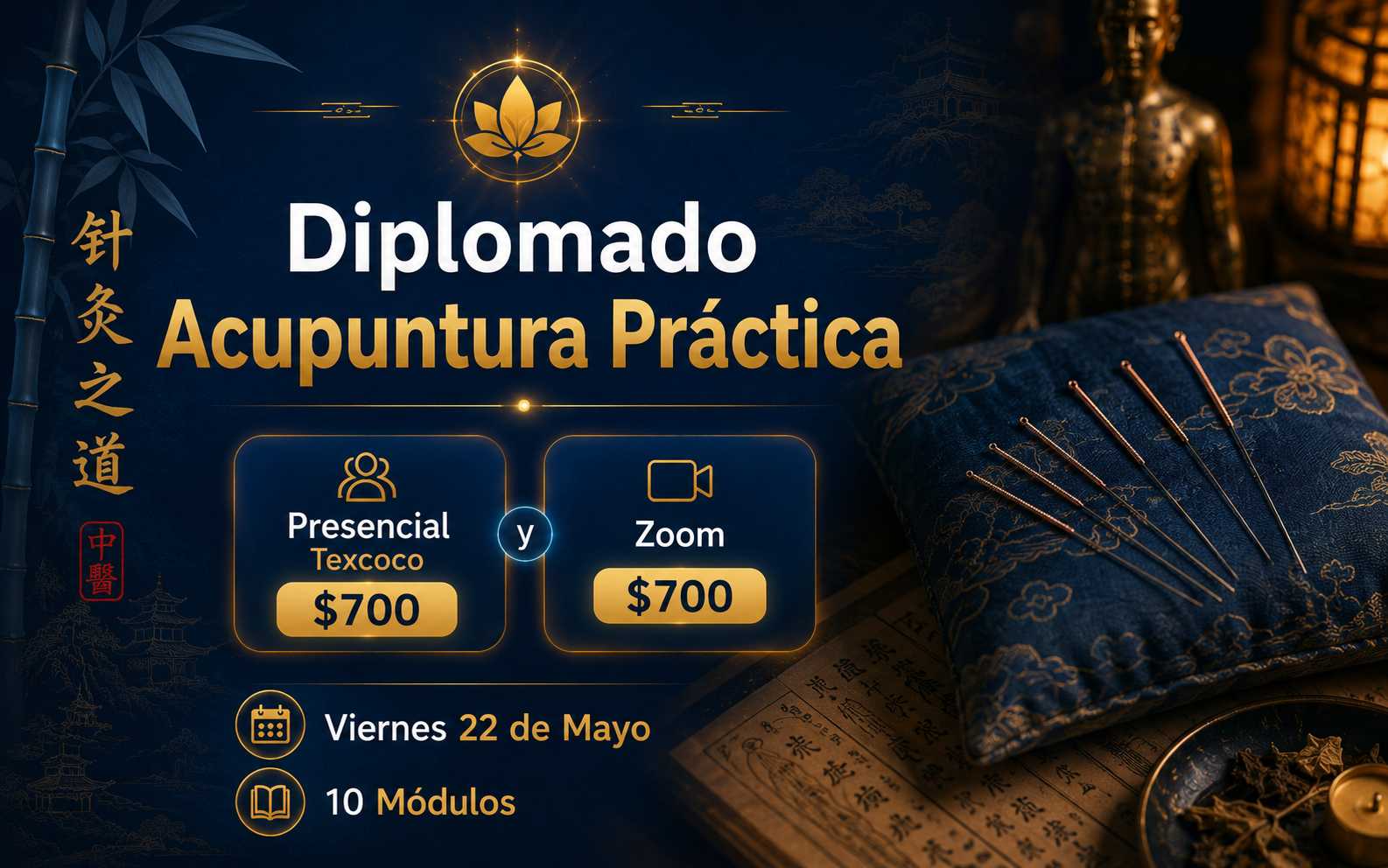 banner del curso: acupuntura práctica texcoco 26-27