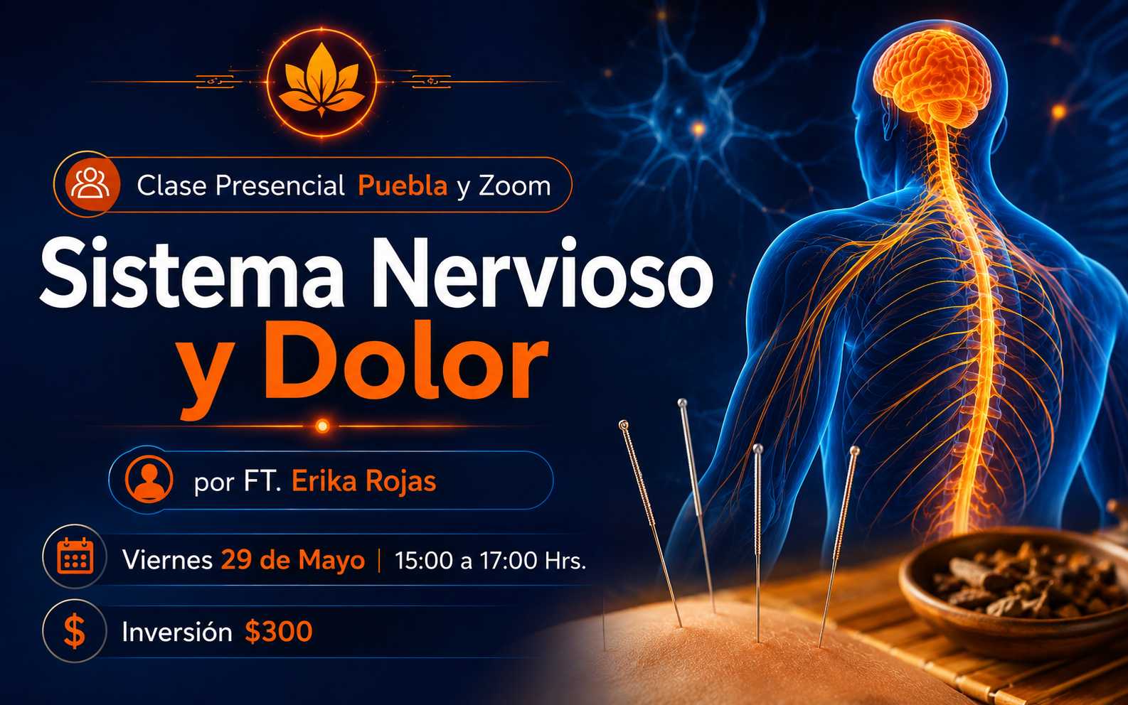 banner del curso: sistema nervioso y dolor 