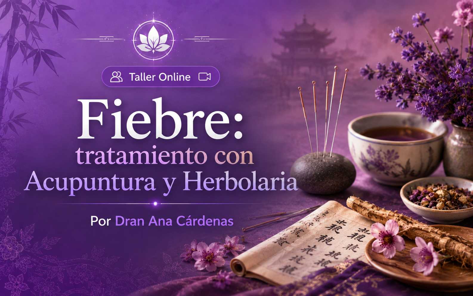 banner del curso: fiebre tratamiento con acupuntura y herbolaria 