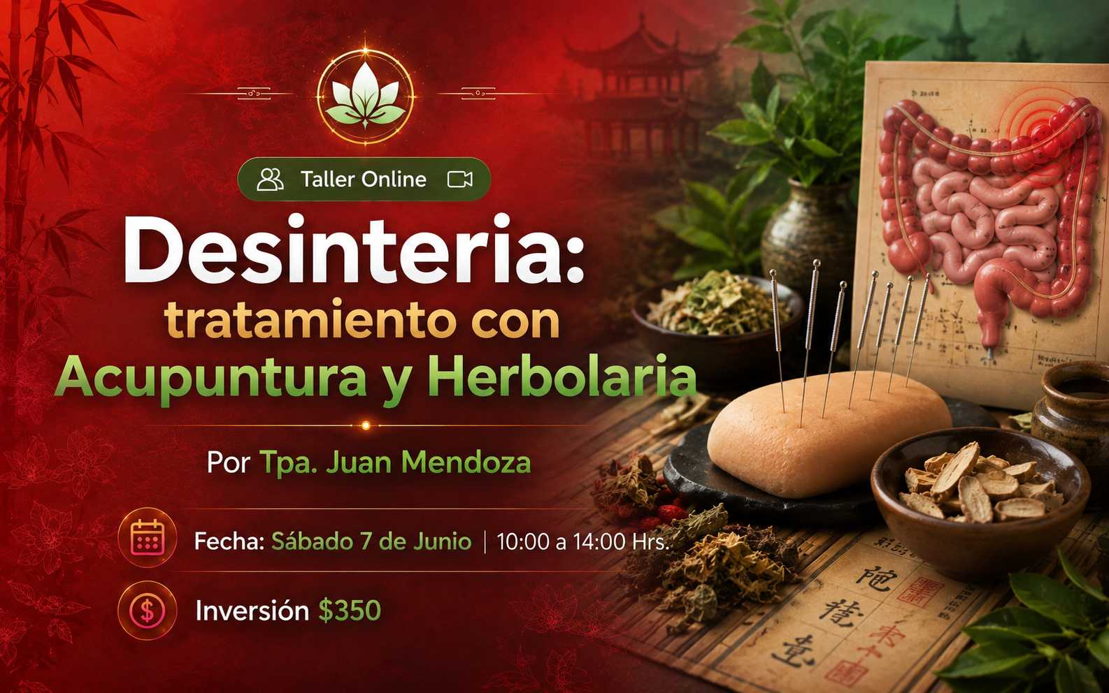 banner del curso: desinteria 