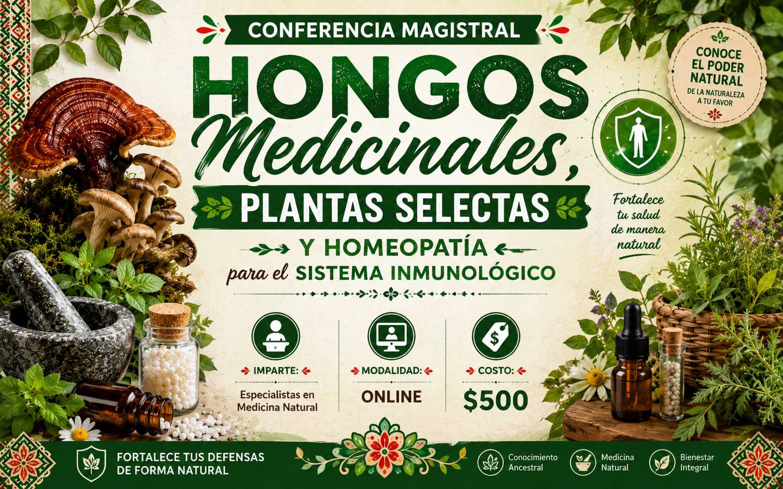 banner del curso: hongos medicinales y plantas medicinales selectas para sistema inmunológico