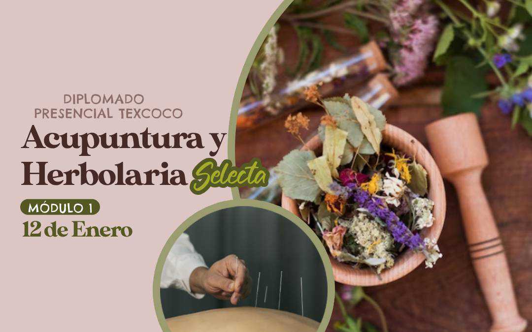 banner del curso: diplomado: acupuntura y herbolaria selecta