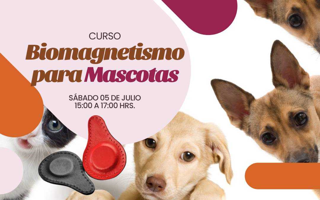 banner del curso: biomagnetismo para mascotas
